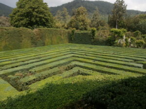Maze at Villa Barbarigo