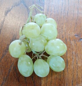cluster of grapes